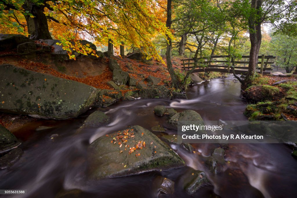 Footbridge over Burbage Brook, Padley Gorge, Peak District, England