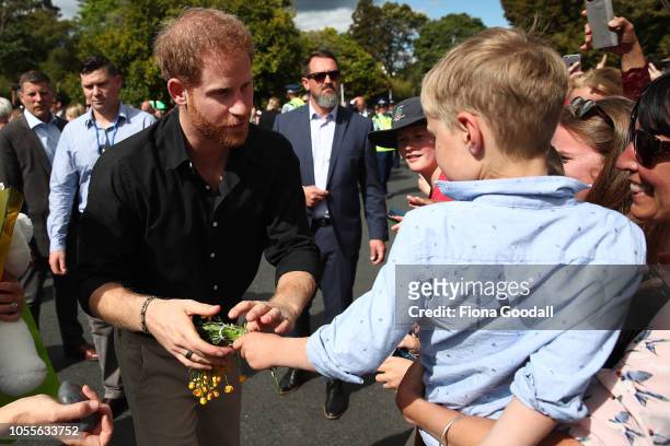 Prince Harry, Duke of Sussex and Meghan, Duchess of Sussex meet the public on a walkabout at Rotorua Government Gardens, New Zealand, on October 31,...