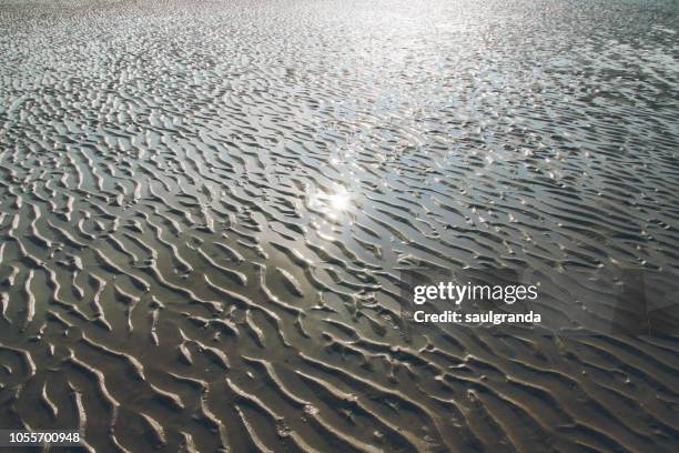 Rockpool Ripples 111 Rockpool Textures Closeup Stock Photos, High-Res Pictures, and ...