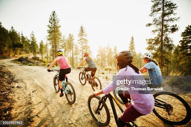 female mountain bikers riding on forest road on summer evening - bicycle trail outdoor sports stockfoto's en -beelden