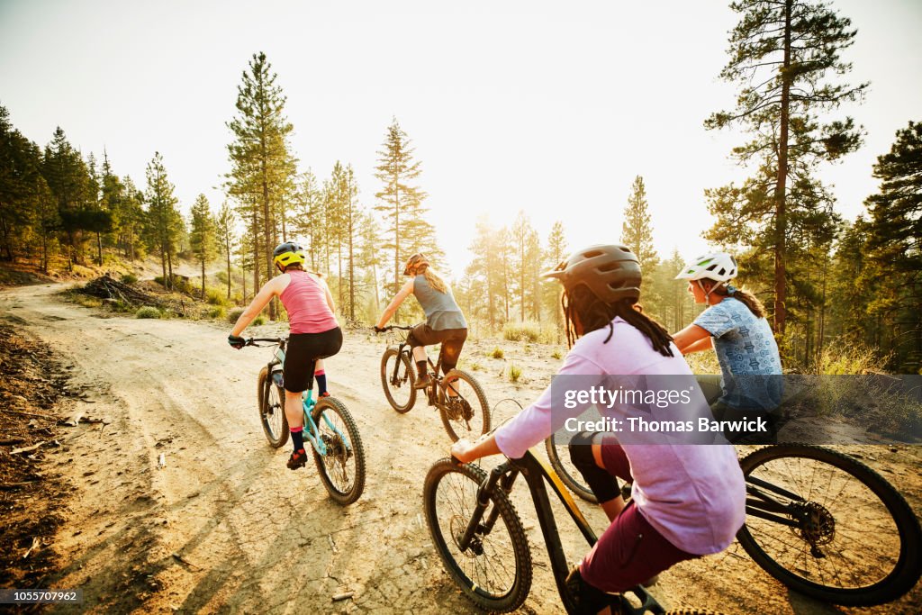 Female mountain bikers riding on forest road on summer evening