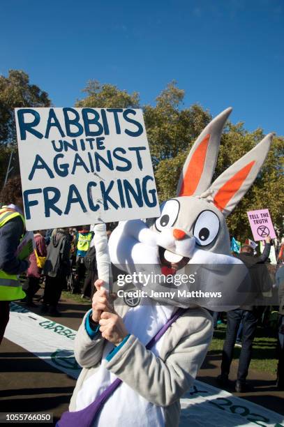 Red Rabbit Protest British Rabbit Council Photos and Premium High Res Pictures - Getty Images