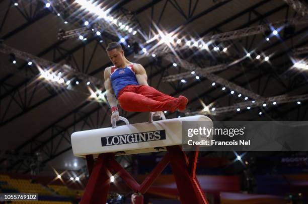 Brinn Bevan of Great Britain competes in the Men's Individual All-Round finall during day six of the 2018 FIG Artistic Gymnastics Championships at...