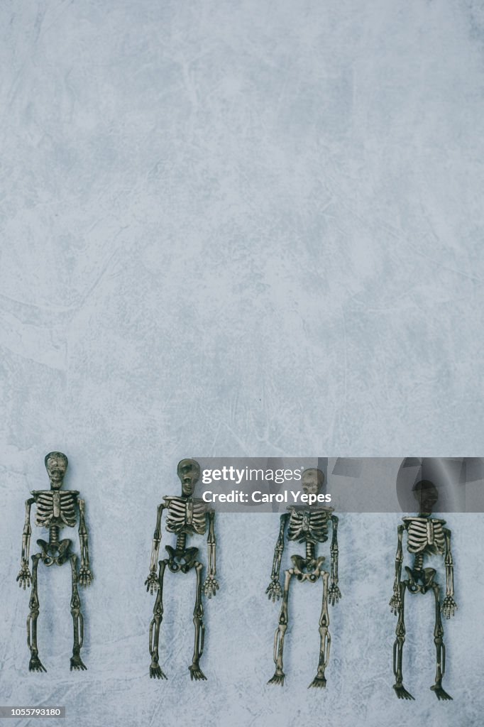 Skeleton Rows 4 Skeletons In A Rowtop Viewhalloween High-Res Stock Photo - Getty Images