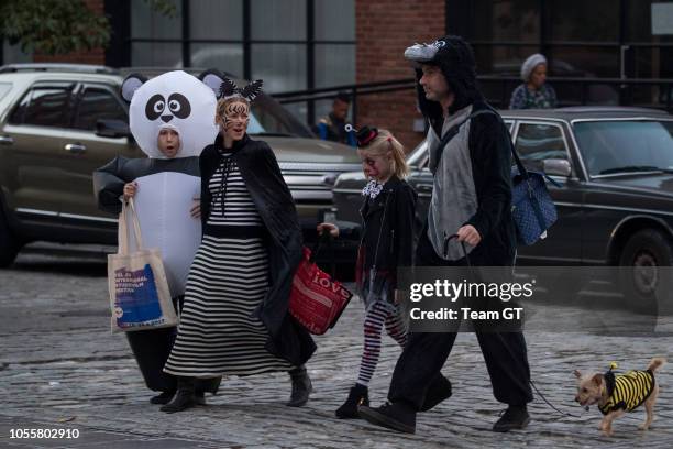 Sasha Schreiber, Naomi Watts, Kai Schreiber and Liev Schreiber are seen on October 31, 2018 in New York City.