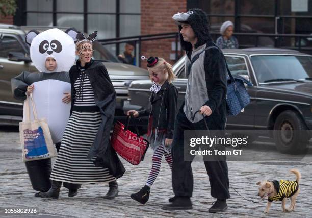 Sasha Schreiber, Naomi Watts, Kai Schreiber and Liev Schreiber are seen on October 31, 2018 in New York City.