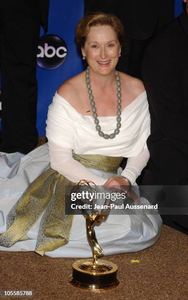 Meryl Streep, winner of Outstanding Lead Actress in a Miniseries or a Movie, "Angels in America"