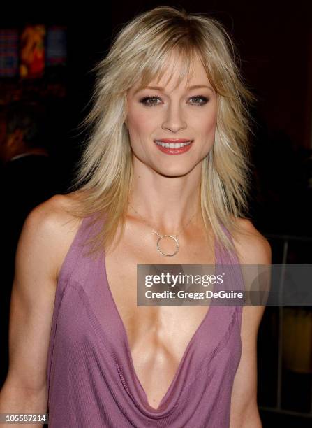 Teri Polo during "Meet The Fockers" Los Angeles Premiere - Arrivals at Universal Amphitheatre in Universal City, California, United States.