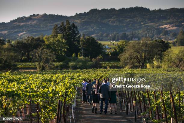 Group of sommeliers tour the vineyards at Silver Oak Cellars winery on October 7 near Healdsburg, California. A cool spring and mild summer have...