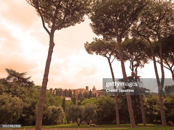 enclosure of the mount palatine. palatine hill - palatin stock-fotos und bilder