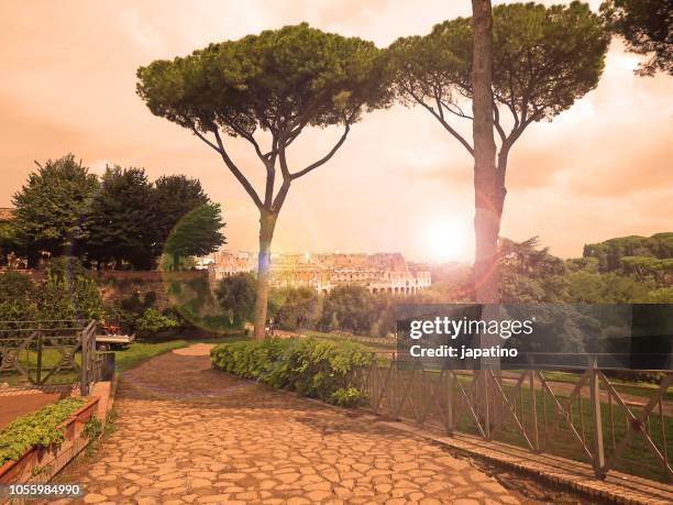 view of the roman colosseum from the palatine hill, - palatine hill stock pictures, royalty-free photos & images