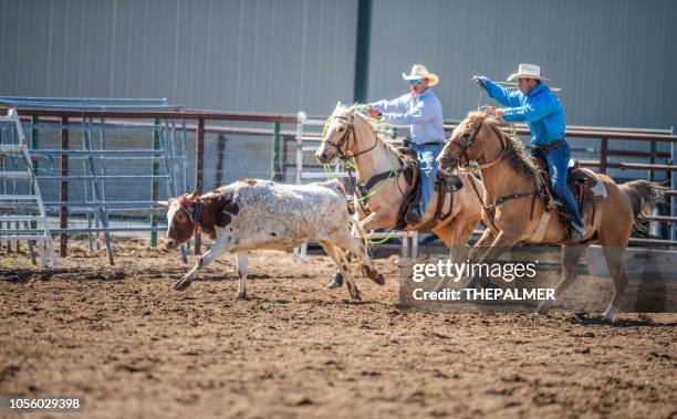Memphis Roping Rodeo Team Roping Team Roping Rodeo Action High-Res Stock Photo - Getty Images