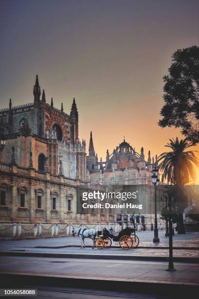 quiet morning in seville as a horse and carriage wait for their first tourist - seville cathedral stock pictures, royalty-free photos & images