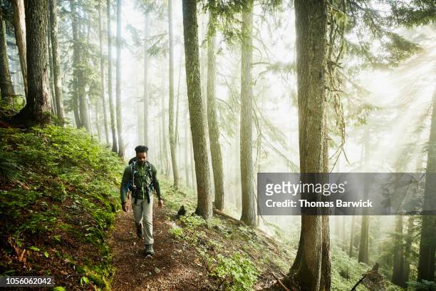 man hiking along trail in forest on foggy morning - escursionismo foto e immagini stock