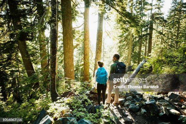 father and daughter looking at view from forest trail while hiking - father sun stock pictures, royalty-free photos & images