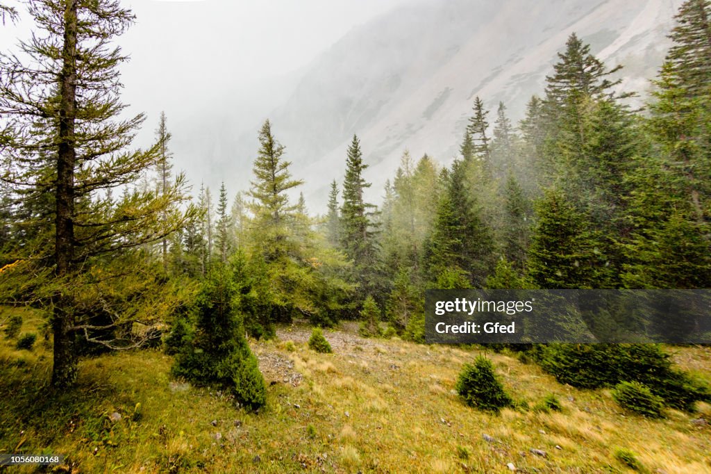 Tempestade de neve no outono