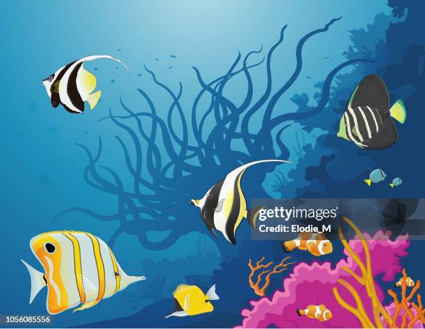 bildbanksillustrationer, clip art samt tecknat material och ikoner med deep sea / les profondeurs de la mer - blue anemone