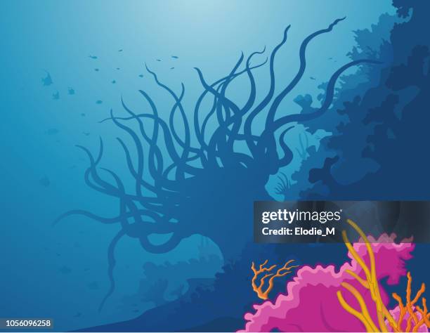 under the sea / sous la mer - mer stock illustrations