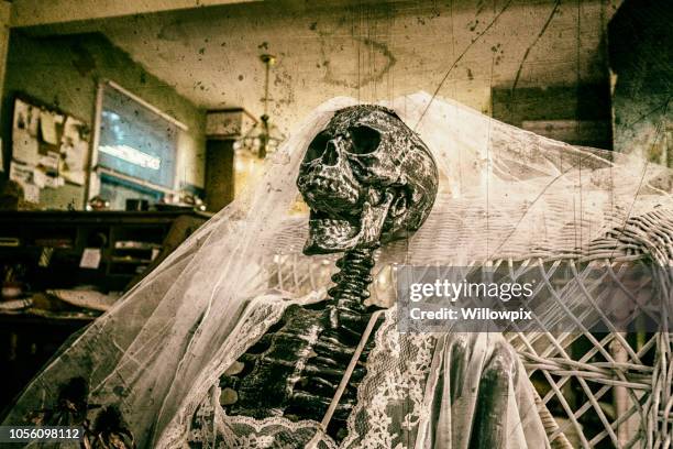 het huwelijk van bruid skelet dragen bruids sluier en huwelijksreis lingerie - funny skeleton stockfoto's en -beelden