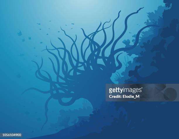 ilustraciones, imágenes clip art, dibujos animados e iconos de stock de anémona de mar de fondo / decoración sous la mer - butterflyfish