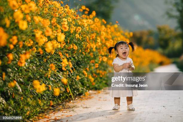 happy baby girl in yellow cosmos flower field - korean baby girl stock-fotos und bilder