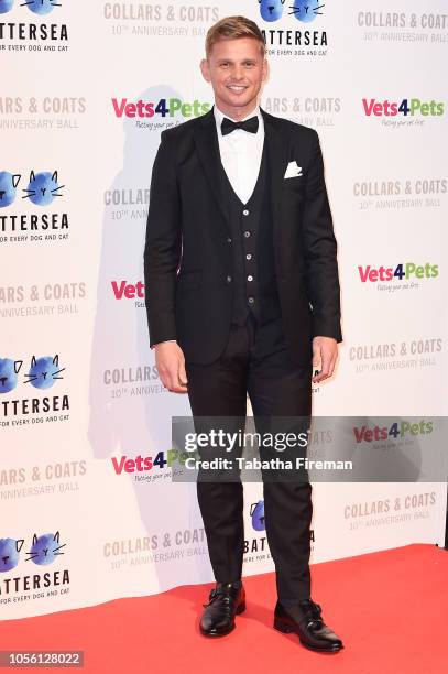 Jeff Brazier attends the Battersea Dogs & Cats Home Collars & Coats Gala at Battersea Evolution on November 1, 2018 in London, England.