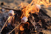 fire roasted murshmallows