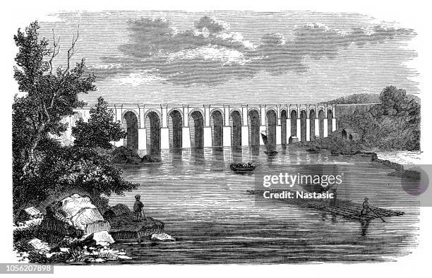 croton aqueduct - croton plant stock illustrations