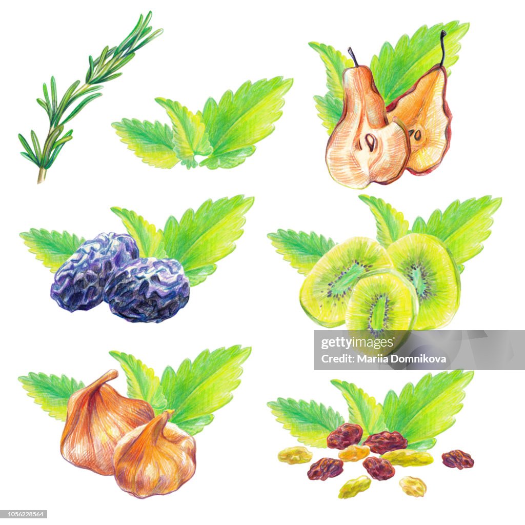 Dry Fruits & Leaves Set