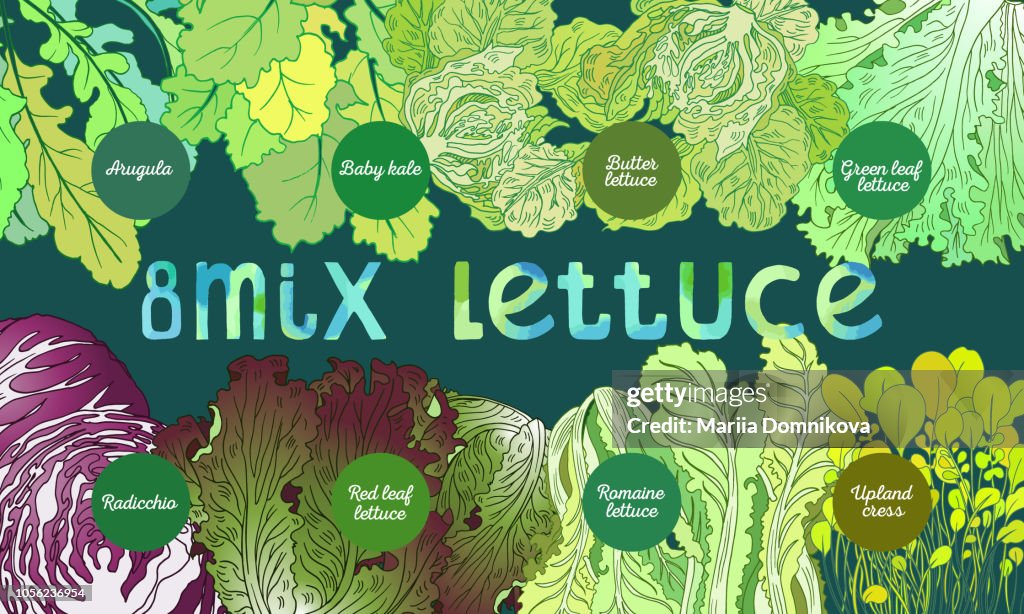 8-mix lettuce