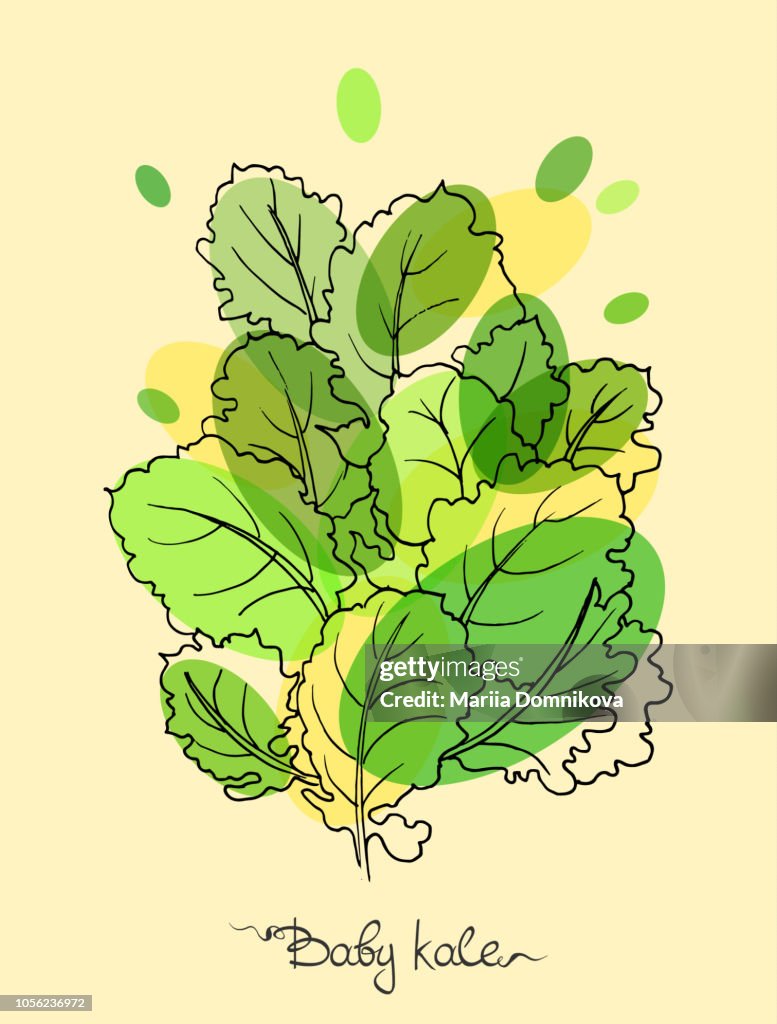 Baby kale