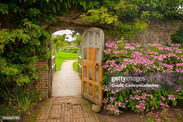 walled garden with hydrangeas - garden wall stock pictures, royalty-free photos & images