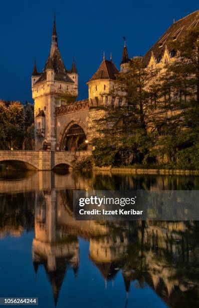 vajda hunyad castle illuminated at the blue houri budapest hungary - vajdahunyad castle stockfoto's en -beelden