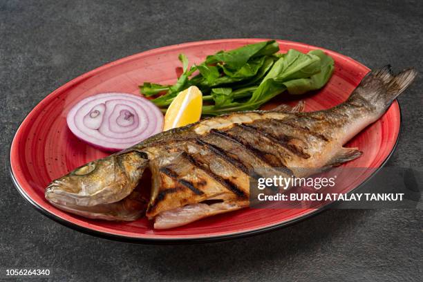 grilled sea bass on a plate - grilled fish stock pictures, royalty-free photos & images