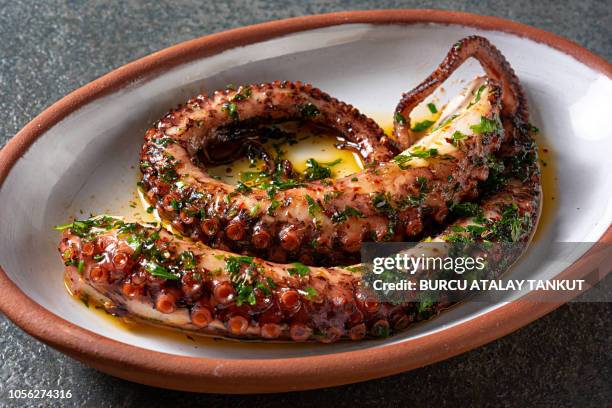 grilled octopus - tentacle stock pictures, royalty-free photos & images
