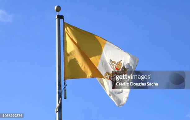 vatican city national flag on a blue sky - vatican photos et images de collection