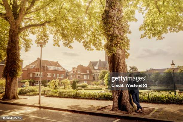 netherlands, venlo, businessman leaning against a tree - anzug ausland stock-fotos und bilder