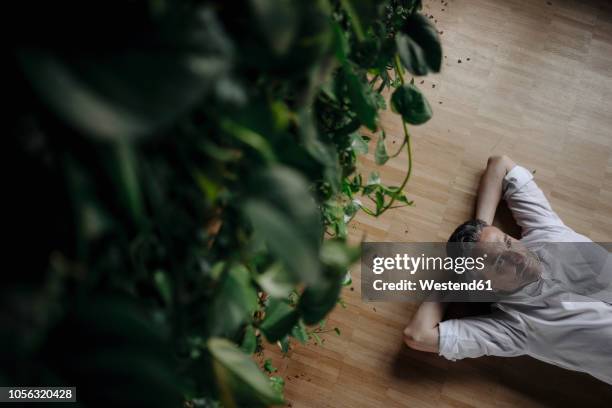 businessman in green office lying on the floor - business mann entspannt stock-fotos und bilder