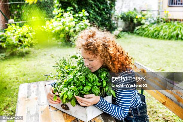 portrait of young woman with fresh herbs in a box - herbs and spices stock-fotos und bilder