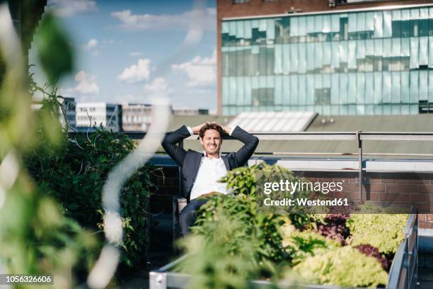 businessman relaxing in his urban rooftop garden - rooftop garden stock pictures, royalty-free photos & images