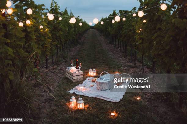 food and light arranged in vineyard for a picnic at night - romantiek stockfoto's en -beelden