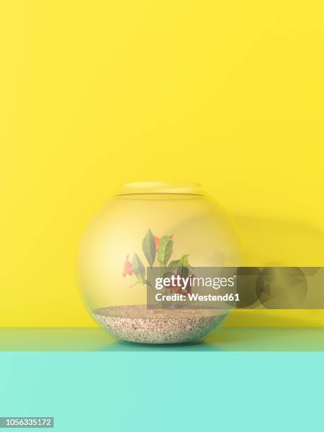 3d rendering, goldfish bowl on shelf against yellow background - aquarium stock illustrations