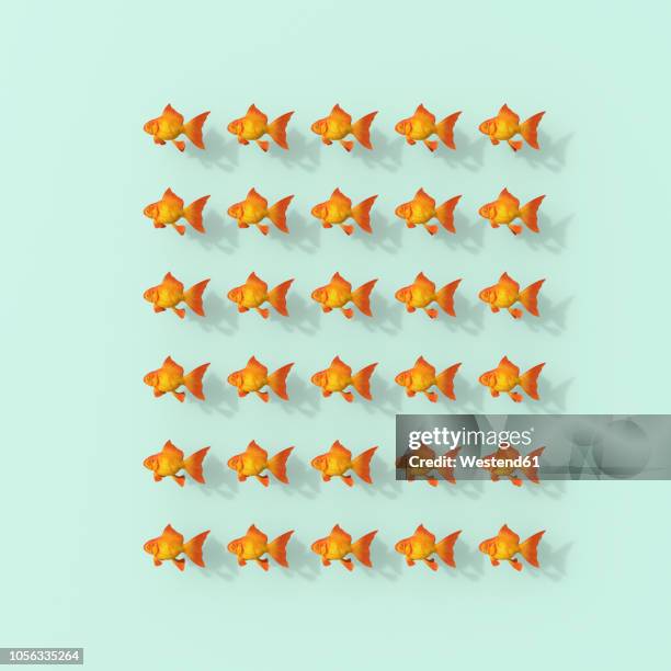 Fish Vector Overhead 3,654 Swimming Fish Overhead Background High Res Illustrations - Getty ...