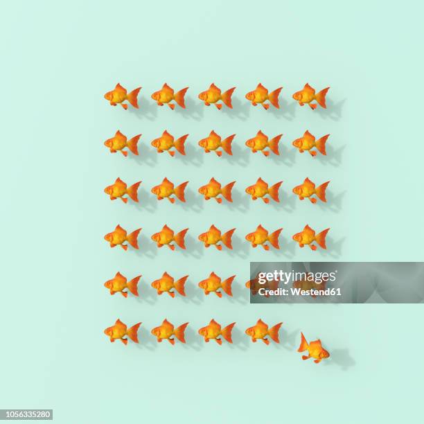 stockillustraties, clipart, cartoons en iconen met 3d rendering, rows of goldfish on green backgroung with fish leaving the group - contrasten