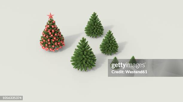 3d rendering, group of fir trees white background on background, admiring christmas tree - german christmas stock illustrations
