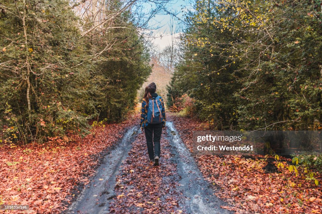 Spain, Ordesa y Monte Perdido National Park, back view of woman with backpack in autumn