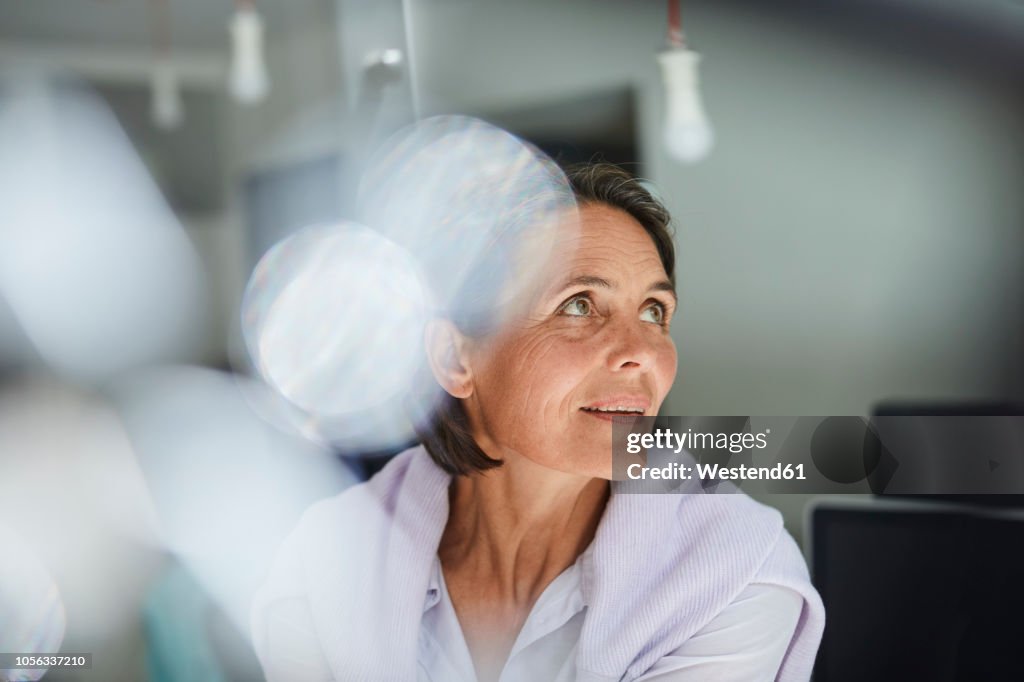 Portrait of mature businesswoman in an office