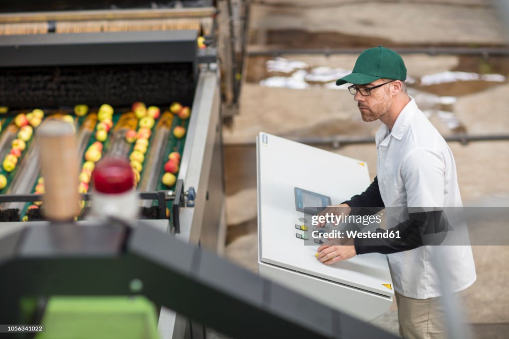 Worker managing apple sorting machine