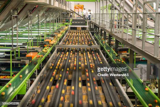 apple factory, sorting machine - food and drink industry stock pictures, royalty-free photos & images