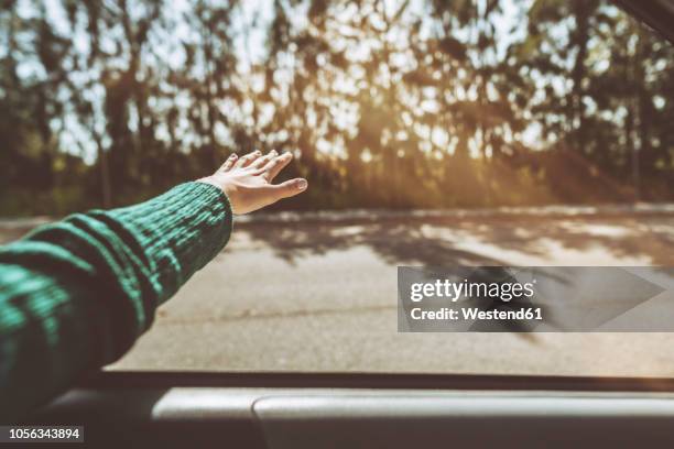 hand of a woman leaning out of car window - car moving stock pictures, royalty-free photos & images